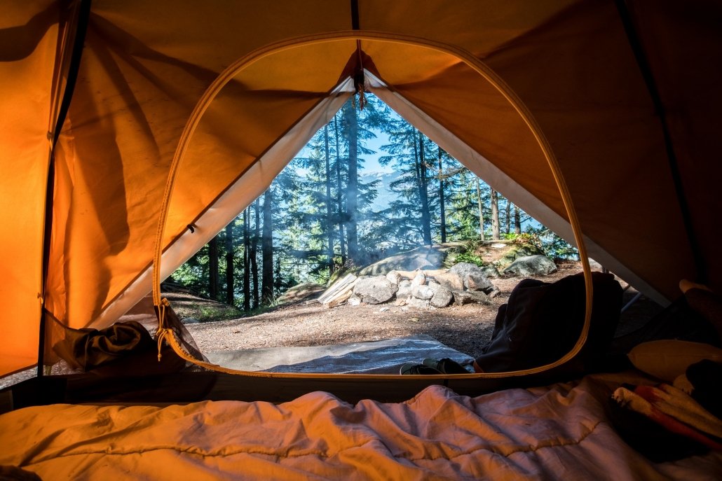 foto di un bosco scattata all'interno di una tenda da campeggio, scelta apposta per fare quest'escursione.