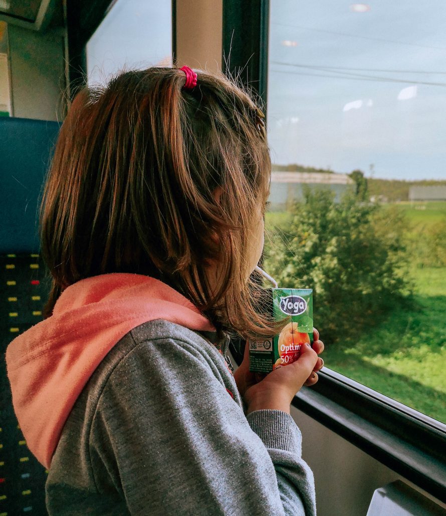 La nostra esperienza sul TILO per una gita in treno alle porte della Svizzera